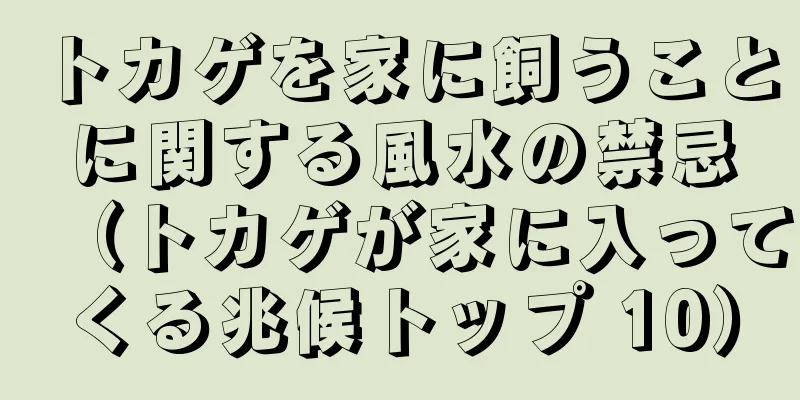 トカゲを家に飼うことに関する風水の禁忌（トカゲが家に入ってくる兆候トップ 10）