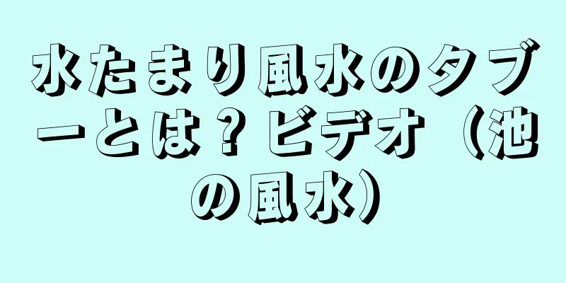 水たまり風水のタブーとは？ビデオ（池の風水）