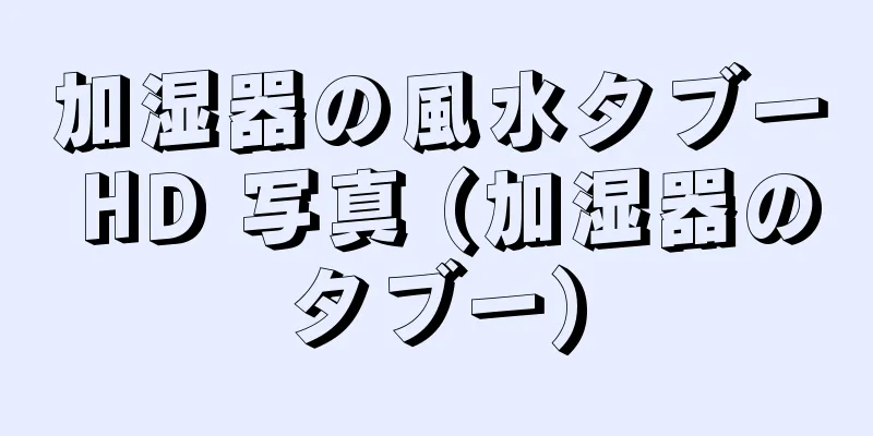 加湿器の風水タブー HD 写真 (加湿器のタブー)
