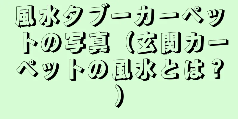 風水タブーカーペットの写真（玄関カーペットの風水とは？）