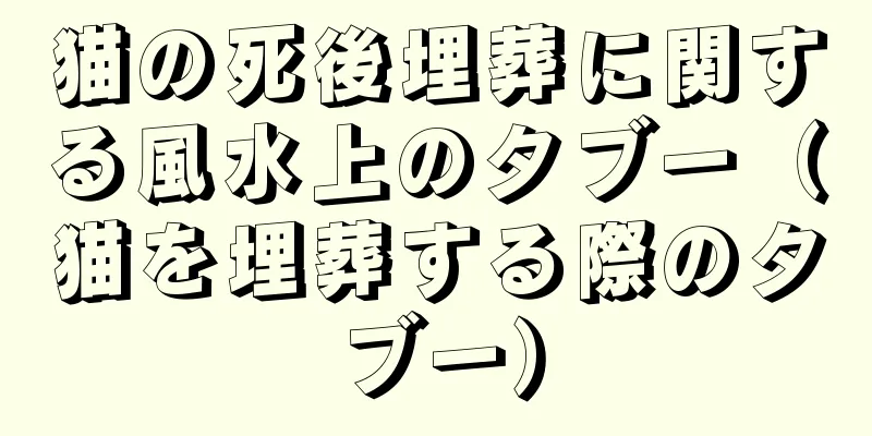 猫の死後埋葬に関する風水上のタブー（猫を埋葬する際のタブー）