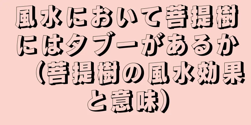 風水において菩提樹にはタブーがあるか（菩提樹の風水効果と意味）